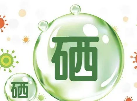 吃啥菜可补硒元素（补菜元素吃硒可以补钙吗）-硒宝网