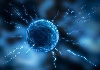 钙锌硒能补精子吗(补钙锌硒吃什么药)-硒宝网