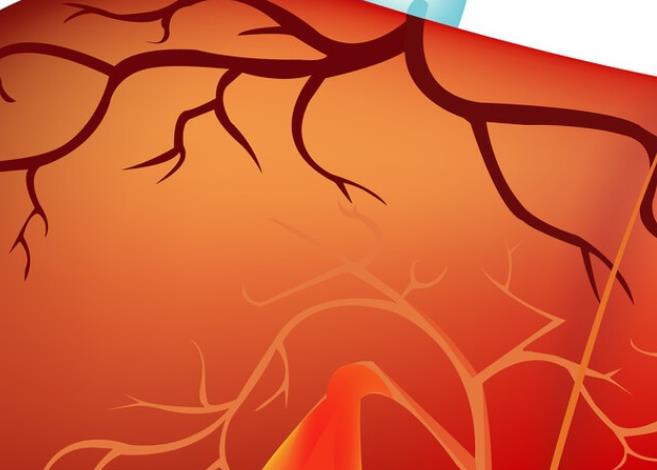 乙肝携带者能补硒(乙肝患者可以补硒吗)-硒宝网