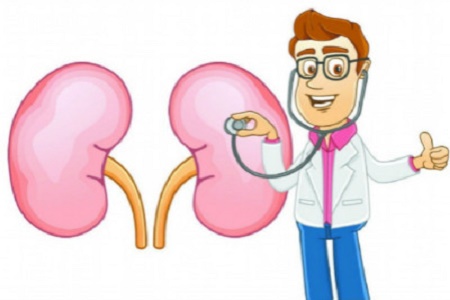 肾切除后能补硒吗（肾切除能补硒后吃什么）-硒宝网