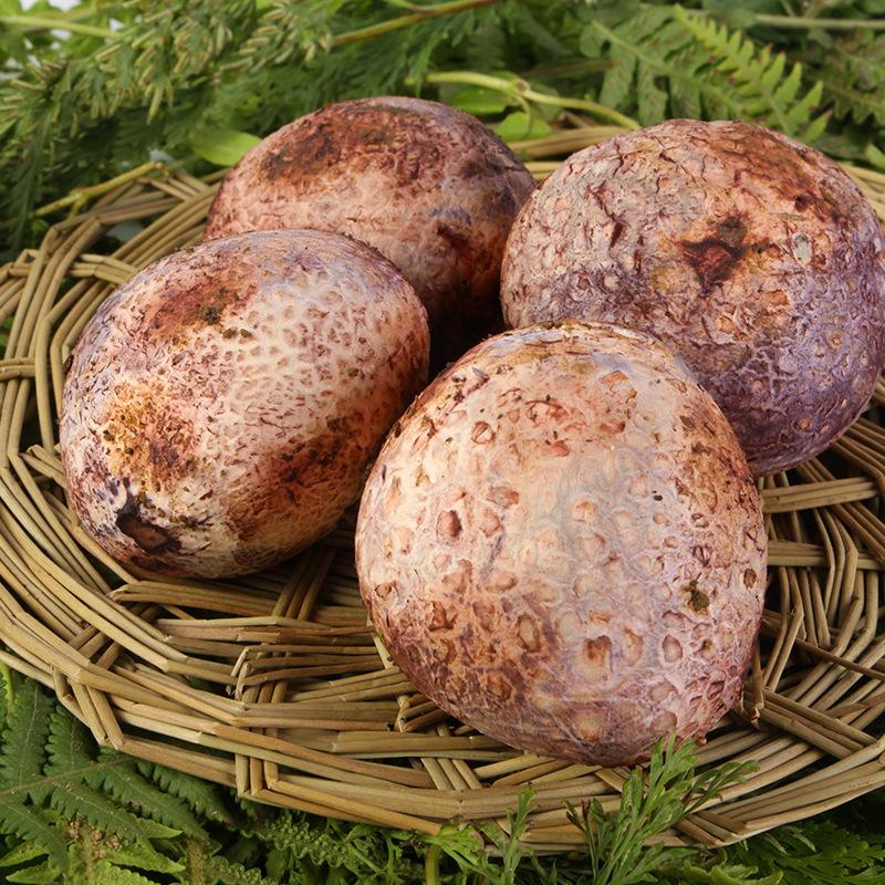 老年人都得补硒吗(补硒可以提高老年人的健康水平)-硒宝网