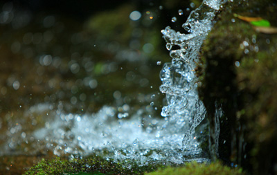 中老年人奶粉补硒（奶粉含硒的奶粉中年人可以何吗）-硒宝网