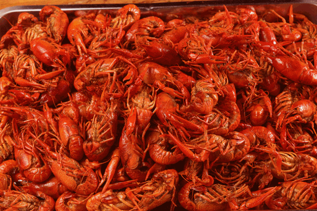 一天吃多少虾补硒（虾每天吃可以吗）-硒宝网