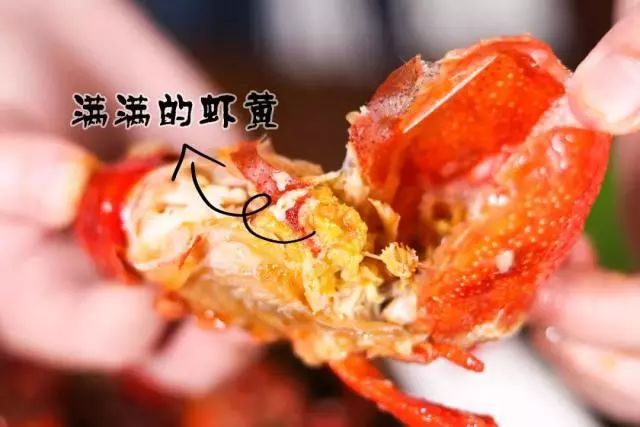 一天吃多少虾补硒（虾每天吃可以吗）-硒宝网