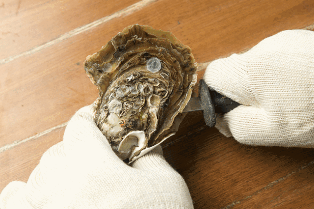 一天吃多少虾补硒（虾每天吃可以吗）-硒宝网