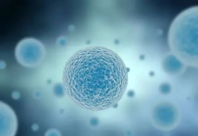 尿毒症者能补硒吗（尿毒症可以补锌吗）-硒宝网