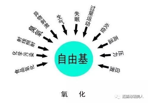 补硒对人的重要性(补硒的重要性和必要性)-硒宝网