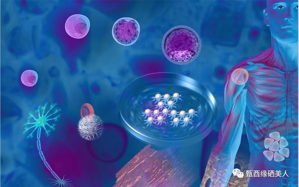 补硒对人的重要性(补硒的重要性和必要性)-硒宝网