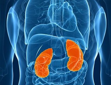 尿毒症者能补硒吗(补硒能改善尿毒症患者)-硒宝网