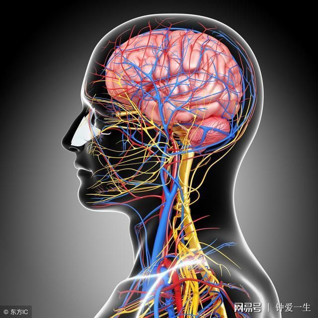 糖尿病补硒官用吗（补硒对糖尿病的作用）-硒宝网