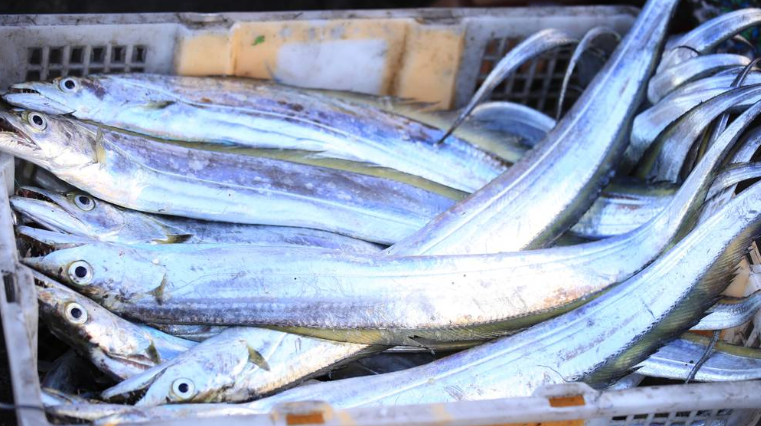 补钙能和硒一起补（硒补钙吗）-硒宝网