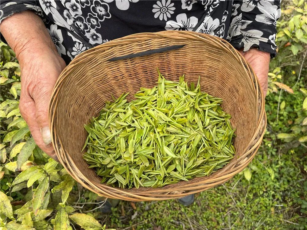 中国农科院补硒表（中国农科院生产的硒多少钱一盒）-硒宝网