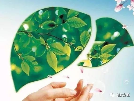 肺纤维化能补硒吗(肺纤维能补化硒吗)-硒宝网