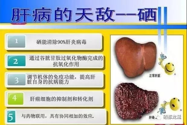 肺纤维化能补硒吗(肺纤维能补化硒吗)-硒宝网