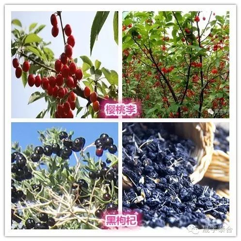 青春期补硒摄入量(补充硒的最大量)-硒宝网