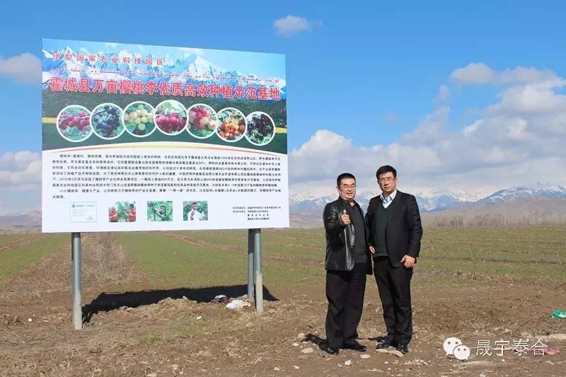 青春期补硒摄入量(补充硒的最大量)-硒宝网