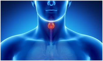 糖尿病胆囊癌补硒(胆囊癌补硒可以嘛)-硒宝网
