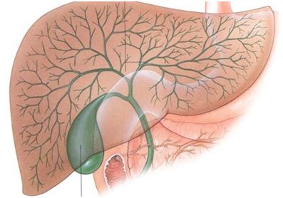 糖尿病胆囊癌补硒(胆囊癌补硒可以嘛)-硒宝网