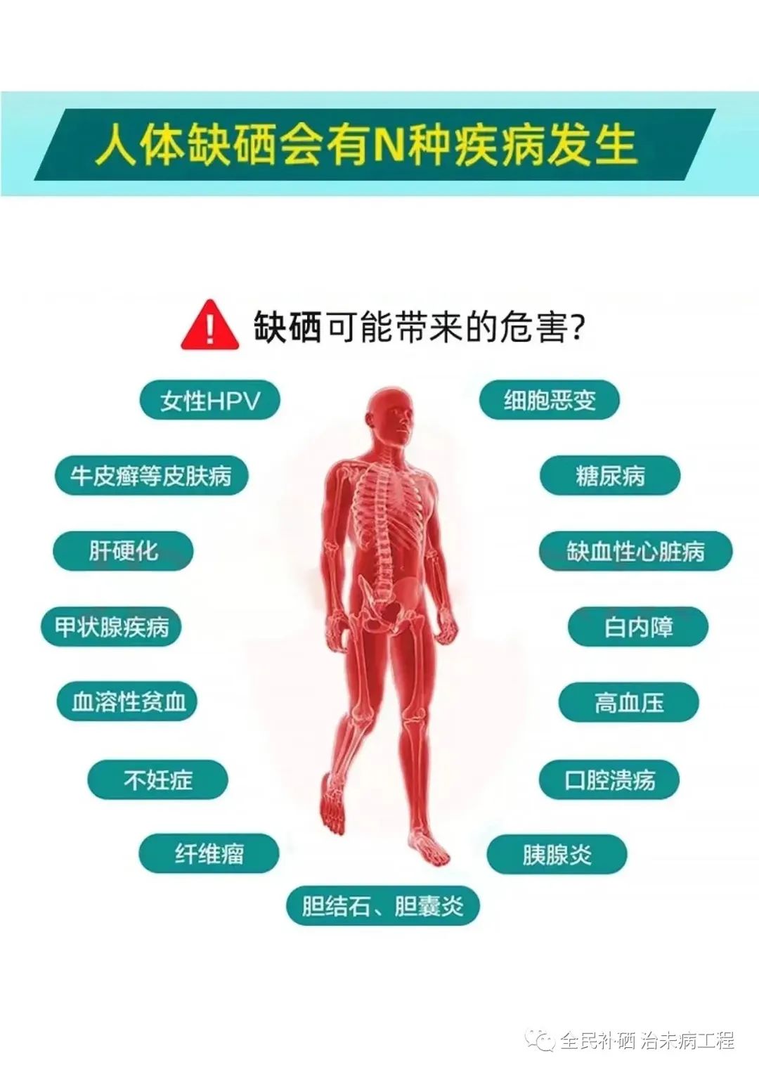 科学补硒十大好处(科学补硒的三个原则是什么)-硒宝网