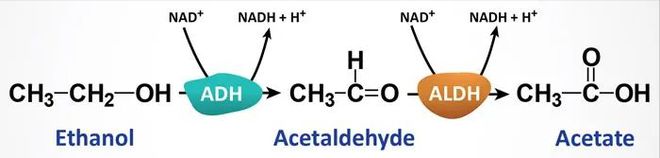 吃啥菜补维生素硒(维生素补菜吃硒好吗)-硒宝网