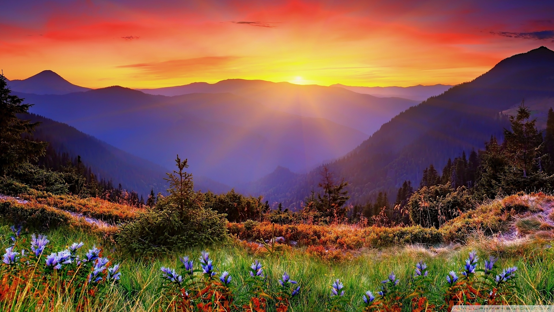 三高补硒有作用吗（那种硒对三高有用）-硒宝网