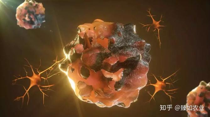 八大人群必须补硒(不同人群补硒用量参考表)-硒宝网