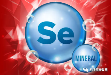 前列腺癌能补硒吗（前列腺癌补硒）-硒宝网
