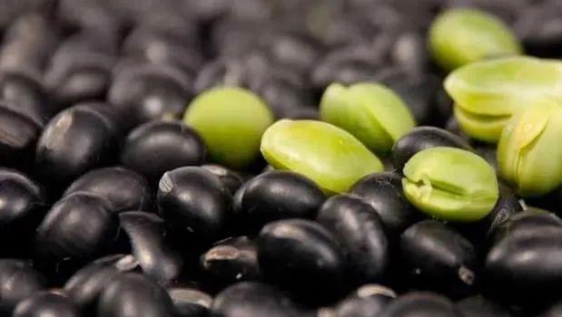 硒麦芽五子粉补肝（肝炎可以吃硒麦芽五味子片吗）-硒宝网