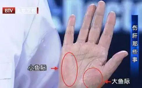 硒麦芽五子粉补肝（肝炎可以吃硒麦芽五味子片吗）-硒宝网