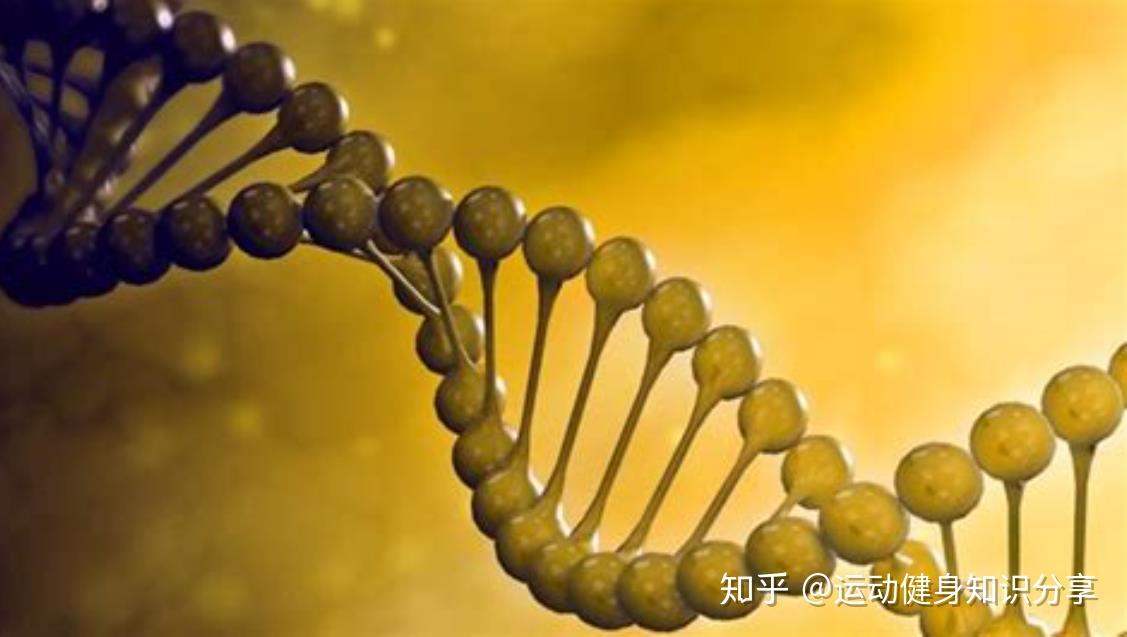 铬和硒能一起补吗(铬锌硒补剂)-硒宝网