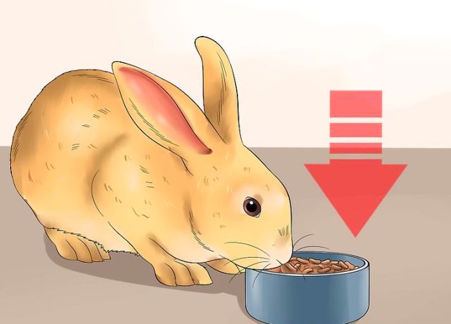 维生素b3 补硒(补维生素硒有什么好处)-硒宝网