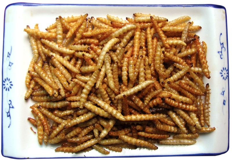 铬和硒能一起补吗（铬需要补充吗）-硒宝网