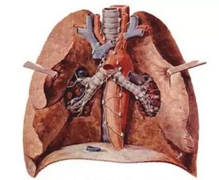 肺结核病能补硒吗（肺结核可以补锌吗）-硒宝网