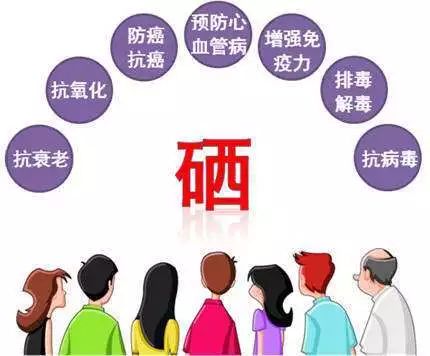 补硒的这十大好处(补硒的有什么)-硒宝网