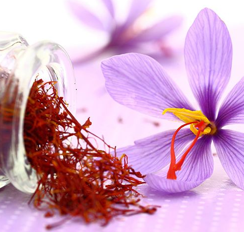 补硒麦芽五味子片（五味子麦芽硒的功效与作用）-硒宝网