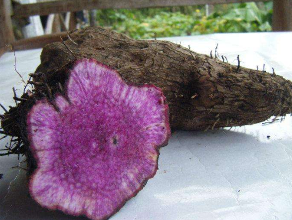 休硒双素能补肺吗(硒对肺的作用)-硒宝网