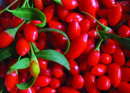 补硒有哪四大功能（补硒能干嘛）-硒宝网