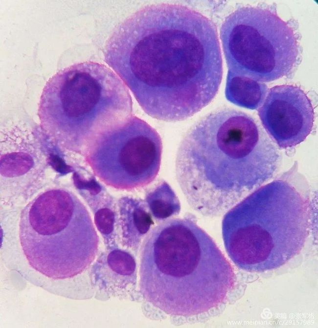 补硒三个月免疫力(补硒增强免疫力)-硒宝网