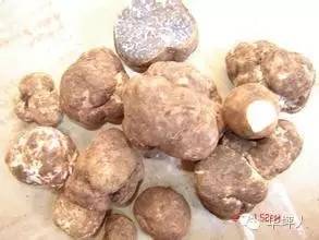 吃啥补硒百度百科（补充硒的好处）-硒宝网