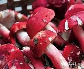 吃啥补硒百度百科（补充硒的好处）-硒宝网