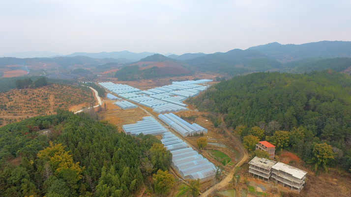 赣州富硒农场产品(赣南富硒)-硒宝网