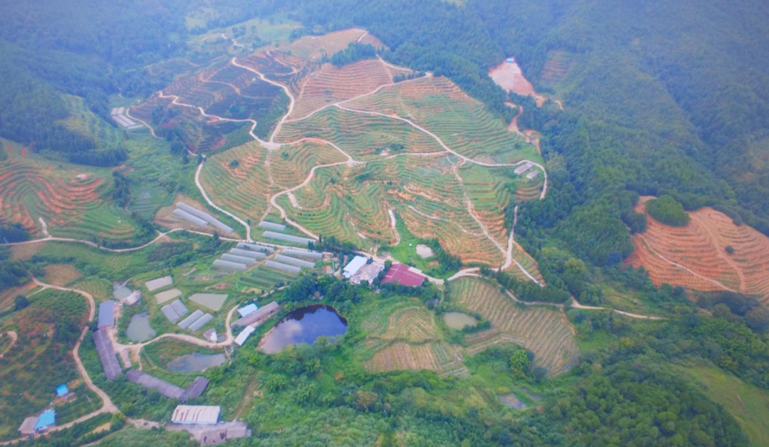 赣州富硒农场产品(赣南富硒)-硒宝网