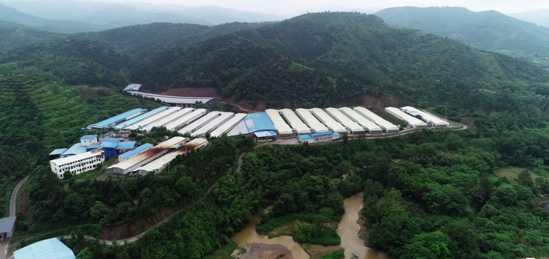 赣州富硒农场产品(赣南富硒)-硒宝网