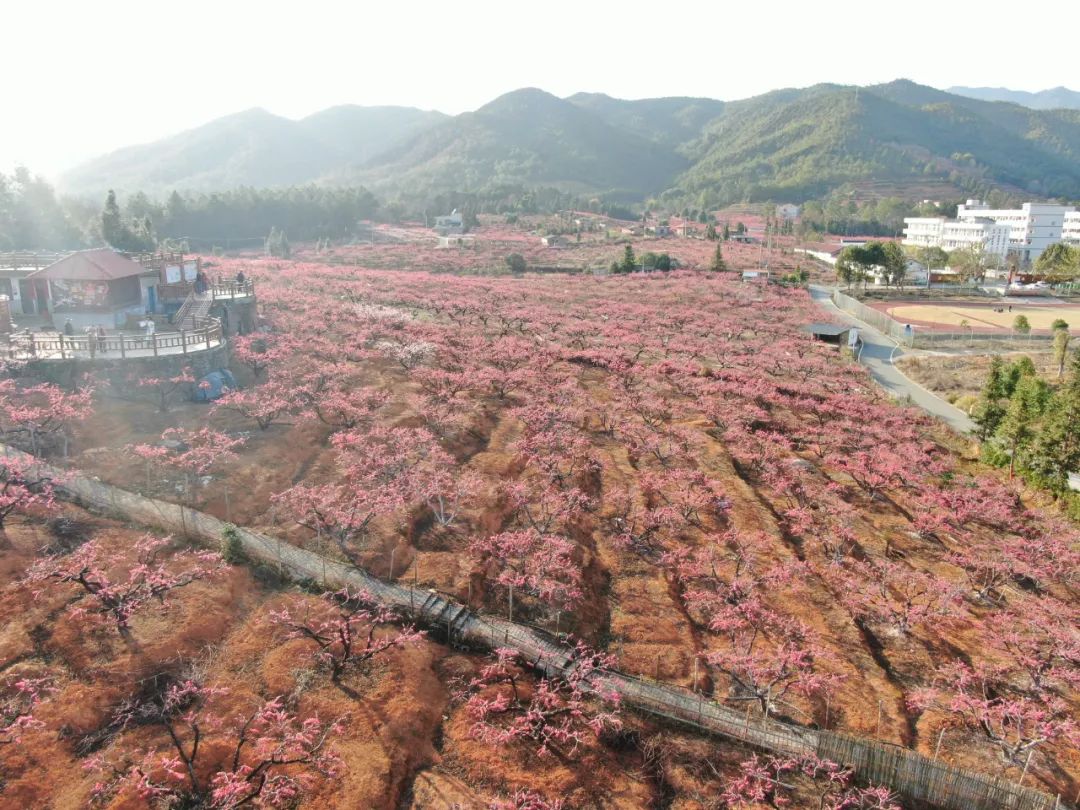 赣州富硒农场产品(赣南富硒)-硒宝网