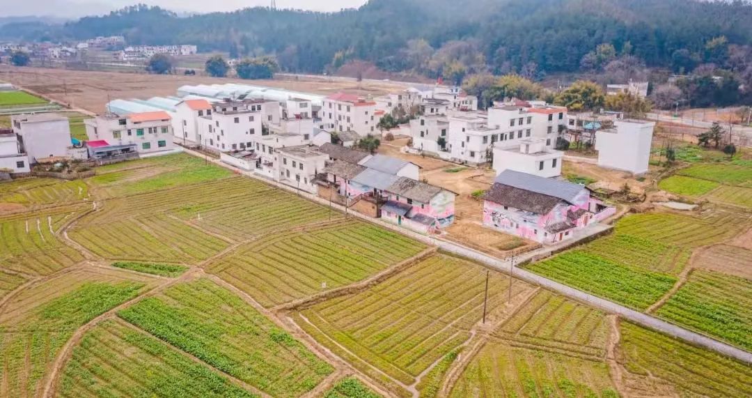 赣州富硒农场产品(赣南富硒)-硒宝网