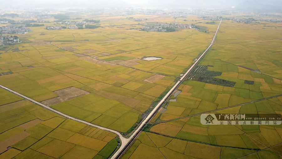 广西富硒产品标志(广西标志富硒产品有哪些)-硒宝网