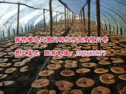 富硒产品认定标准（富硒产品认证标准）-硒宝网