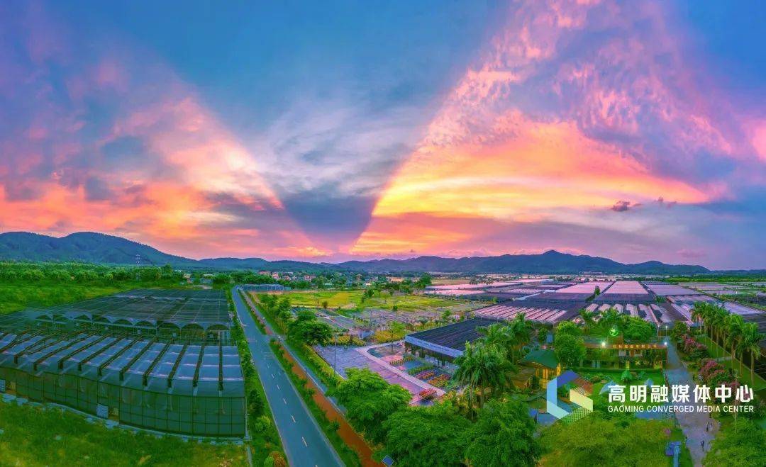 柏乡县富硒农产品(柏乡富硒农业)-硒宝网