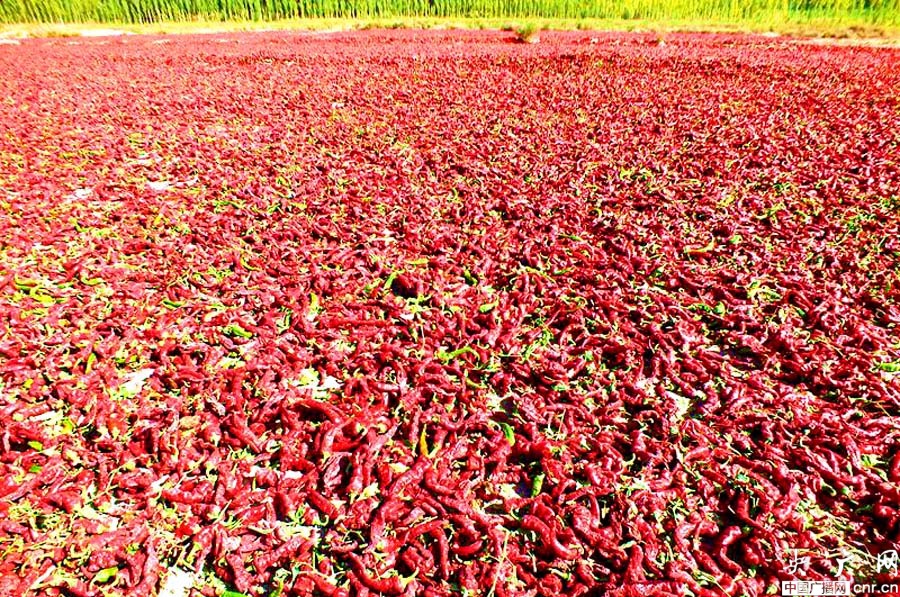 柏乡县富硒农产品(柏乡富硒农业)-硒宝网