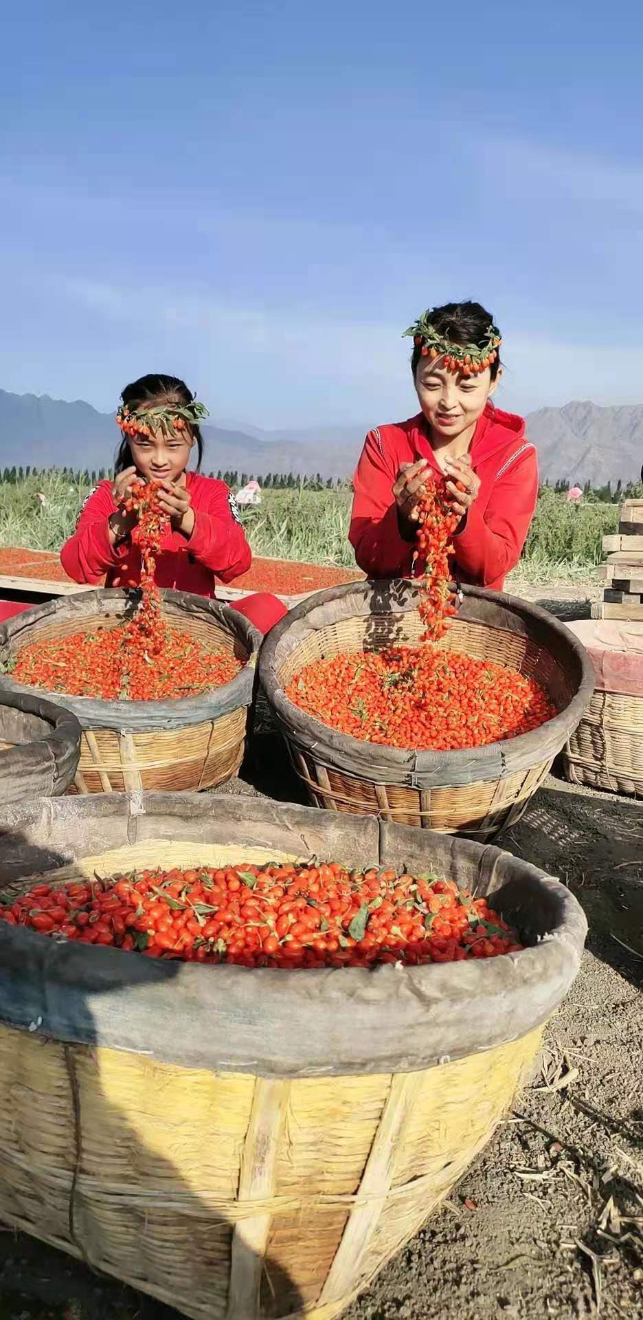 富硒产品电商取名（富硒产品品牌）-硒宝网